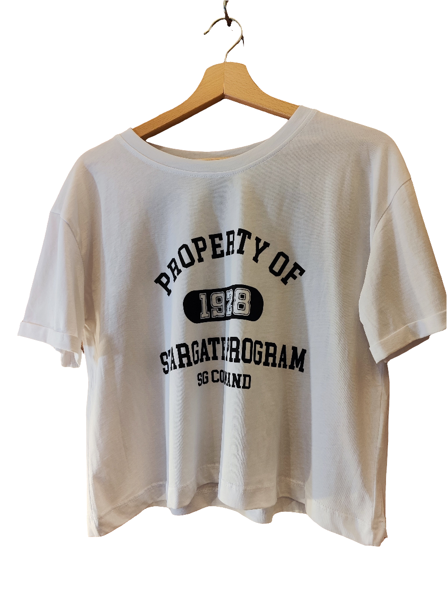 T-shirt Property